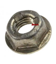 C00032972
