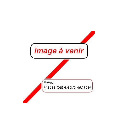 49043828