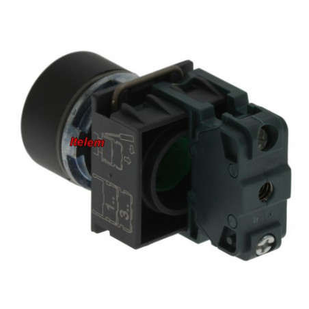 Interrupteur poussoir éplucheuse Duplex-Agustoni 033705