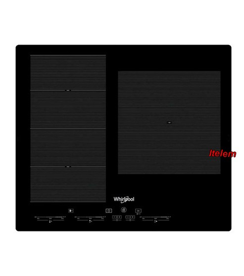 C00507036