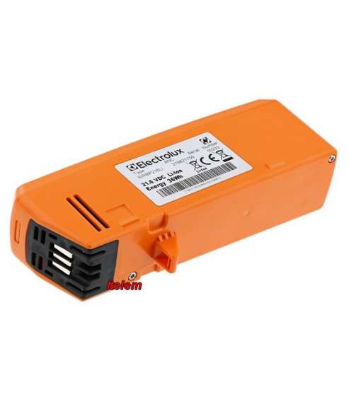 Batterie aspirateur Electrolux 1924993429