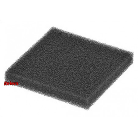 Filtre moteur aspirateur Bosch 00483333
