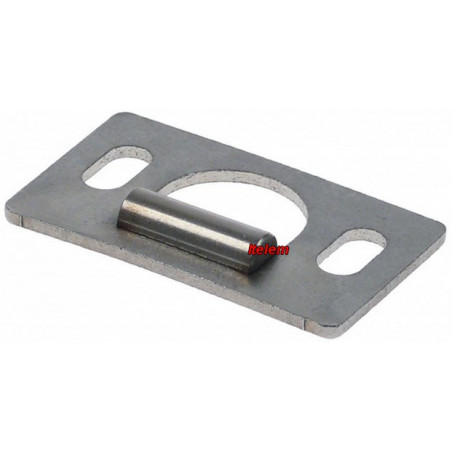 Charnière plate de porte four Lainox R10207680