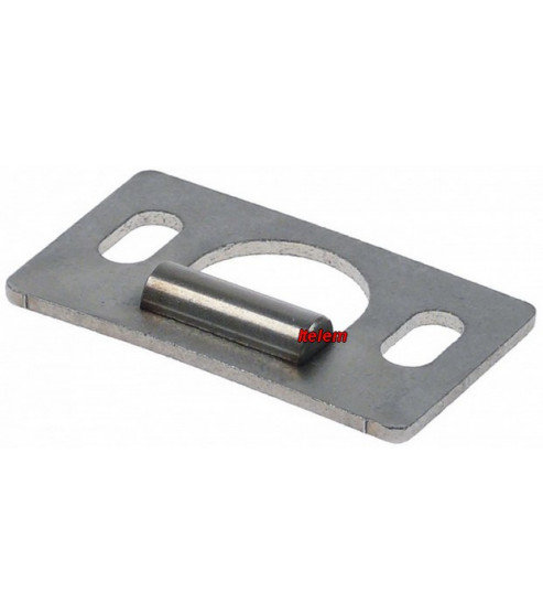 Charnière plate de porte four Lainox R10207680