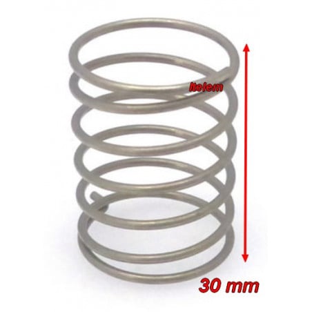 Ressort écarteur poignée de porte four Zanussi 053757