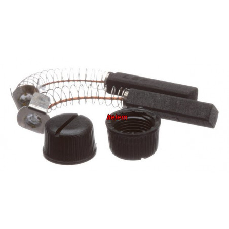 Charbons moteur mixeur Dynamic 0529
