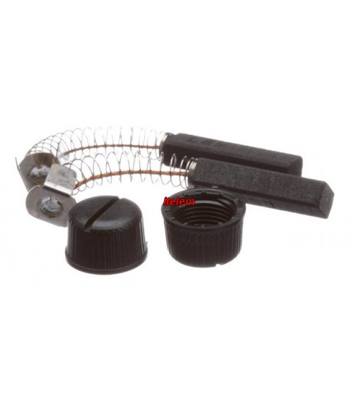 Charbons moteur mixeur Dynamic 0529