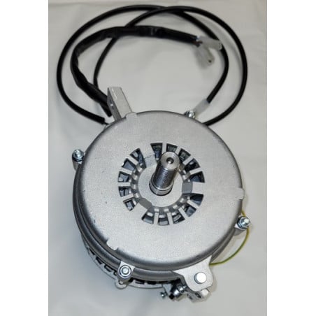 Moteur Asynchrone trancheur Fac