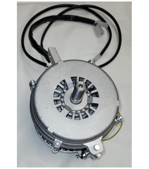 Moteur Asynchrone trancheur Fac