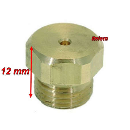 Injecteur gaz calibre 95 diamètre 11 mm