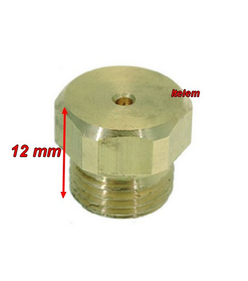Injecteur gaz calibre 95 diamètre 11 mm