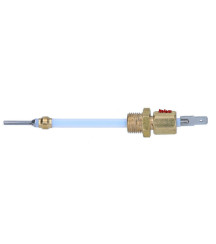 Sonde température centrale vapeur Philips 423902186972