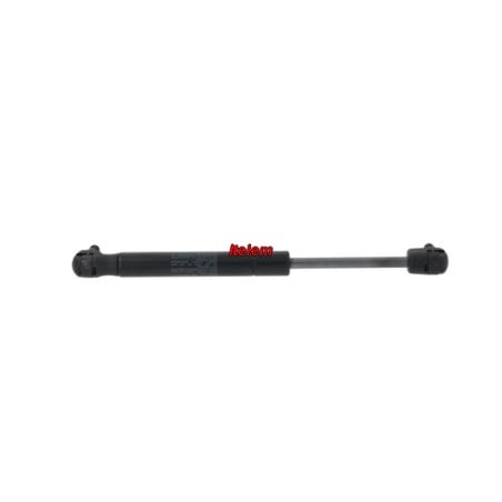 Ressort à gaz lave-linge Danube GRA543014005901