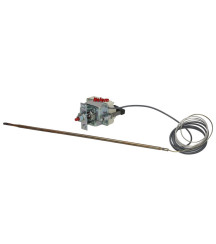 Thermostat four à pizza Zanussi 5510584800