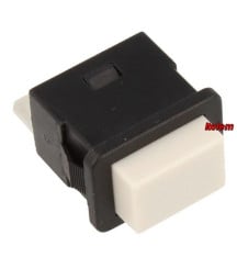 RS-RT1977