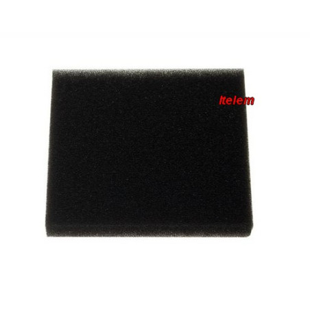 Filtre moteur aspirateur Bosch 00603599