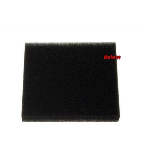 Filtre moteur aspirateur Bosch 00603599