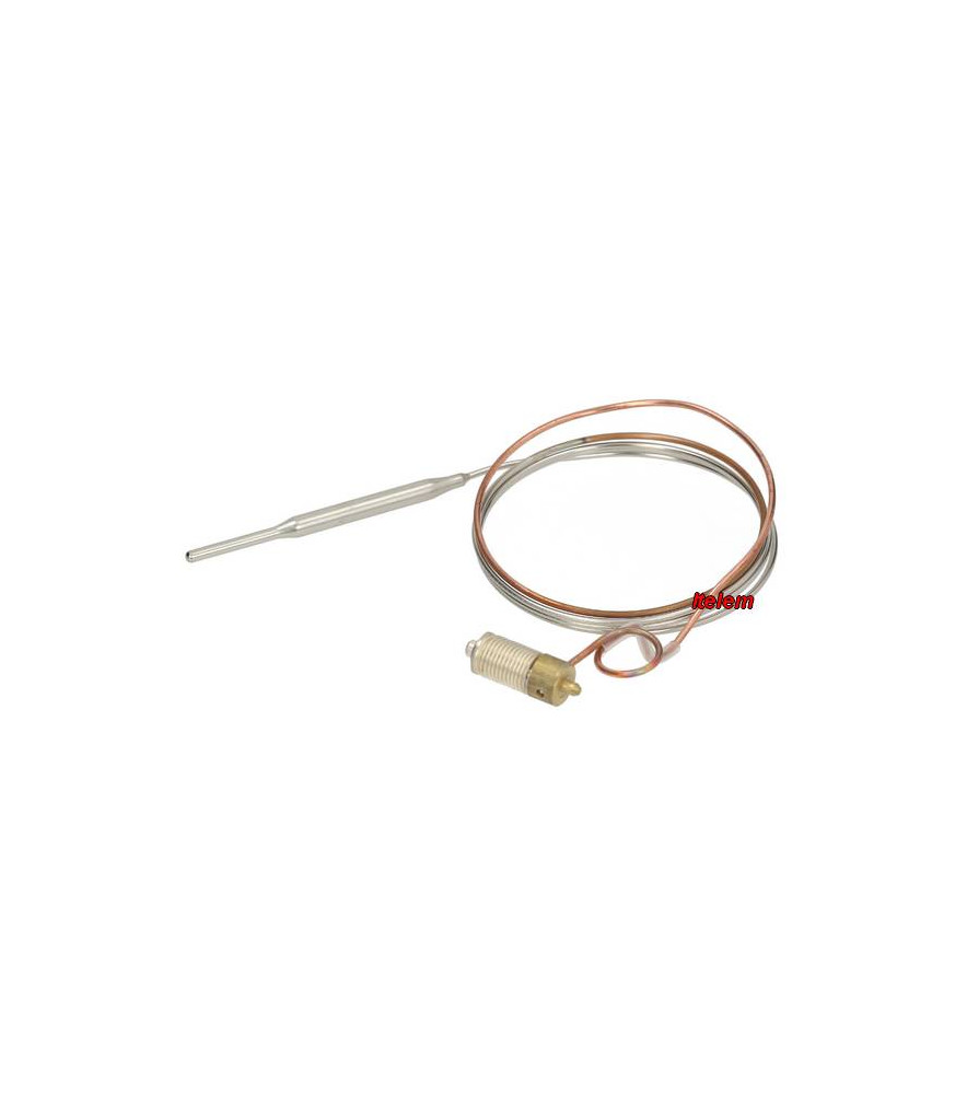 Sonde de température Minisit grill gaz Lotus Baron 0.928.561 — free download
