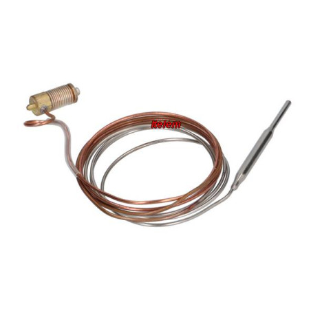 Sonde de température Minisit friteuse Lotus 0.928.563