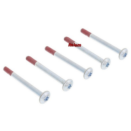 Ensemble vis poignée de porte four Electrolux Arthur-Martin 4055186656