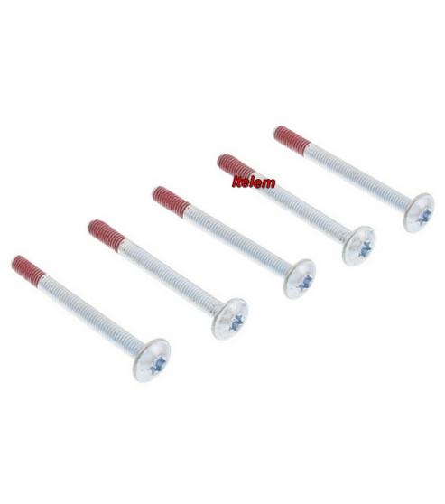 Ensemble vis poignée de porte four Electrolux Arthur-Martin 4055186656