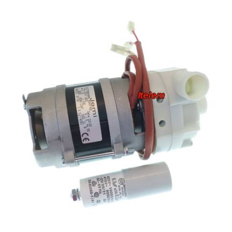 CINAC001742