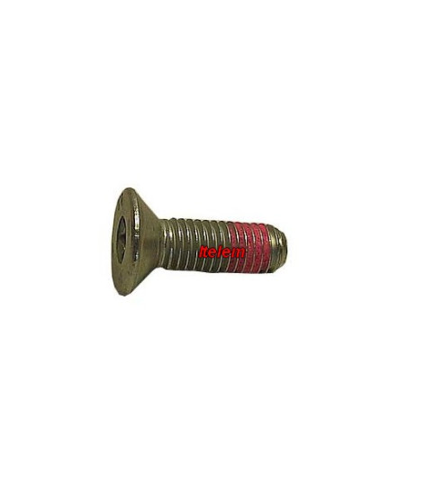 Vis de croisillon lave-linge Viva 00067716